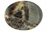 1.5" Polished Madagascar Septarian Worry Stones - Photo 3